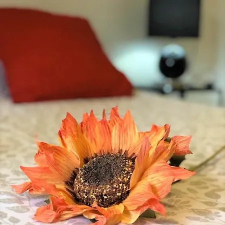 Apartamento Cerca De La Xara Denia